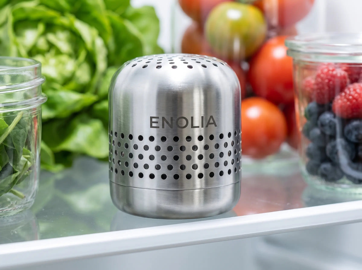 Your fridge stops smelling by tomorrow morning